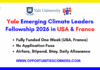 Yale Emerging Climate Leaders Fellowship 2026