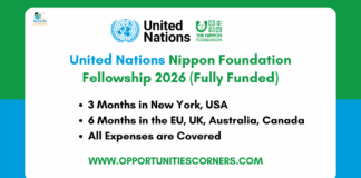 United Nations Nippon Foundation Fellowship 2026