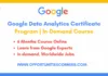 Google Data Analytics Certificate