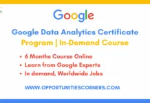 Google Data Analytics Certificate