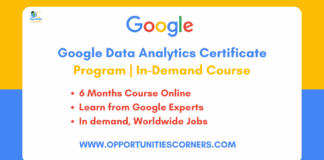 Google Data Analytics Certificate