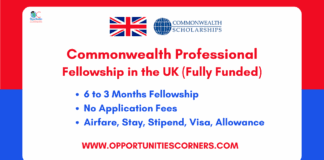 Commonwealth Professional Fellowship 2026