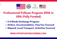 Professional Fellows Program 2026