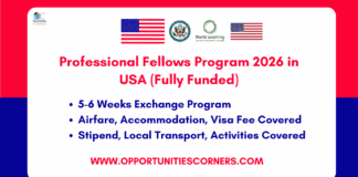 Professional Fellows Program 2026
