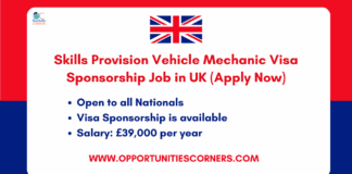 Skills Provision Vehicle Mechanic Visa Sponsorship Job 2025