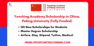 Yenching Academy Scholarship in China