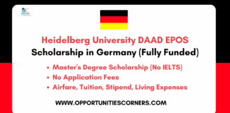 Heidelberg University DAAD EPOS Scholarship