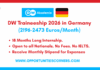 DW Traineeship 2026