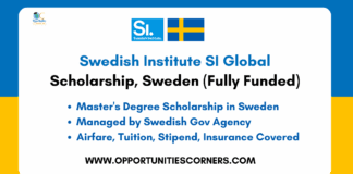 Swedish Institute SI Global Scholarship