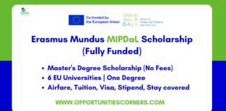Erasmus Mundus MIPDaL Scholarship