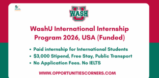WashU International Internship Program