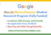 Google Winter/Summer Student Research Program