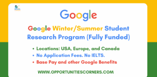 Google Winter/Summer Student Research Program
