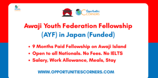 Awaji Youth Federation Fellowship 2026