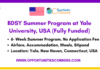 BDSY Summer Program 2026