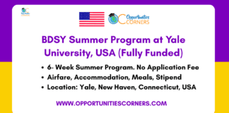 BDSY Summer Program 2026
