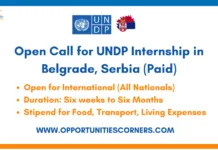 UNDP Internship 2026 in Serbia