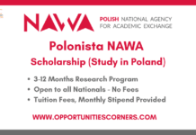 Polonista NAWA 2026 Scholarship