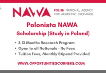 Polonista NAWA 2026 Scholarship (Study in Poland) Polonista NAWA 2026 Scholarship