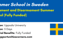 Armament and Disarmament Summer School 2026