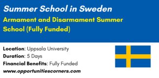 Armament and Disarmament Summer School 2026