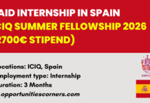 ICIQ Summer Fellowship 2026