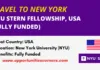 NYU Stern Fellowship 2026