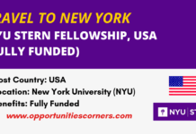 NYU Stern Fellowship 2026