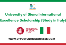 Siena International Excellence Scholarship 2026