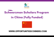 Schwarzman Scholars Program