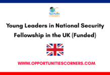 Young Leaders in National Security Fellowship