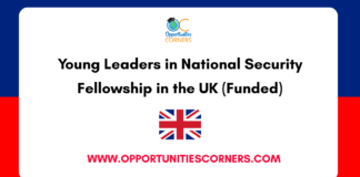 Young Leaders in National Security Fellowship