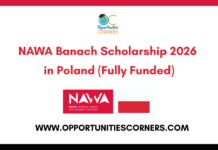 NAWA Banach Scholarship 2026