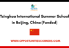Tsinghua International Summer School 2026