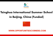 Tsinghua International Summer School 2026