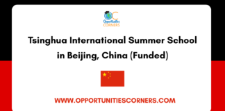 Tsinghua International Summer School 2026