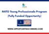 NATO Young Professionals Program 2026