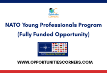 NATO Young Professionals Program 2026