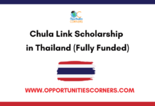 Chula Link Scholarship 2026