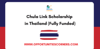 Chula Link Scholarship 2026