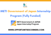 METI Government of Japan Internship 2026
