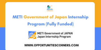 METI Government of Japan Internship 2026