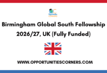 Birmingham Global South Fellowship 2026/27