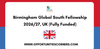 Birmingham Global South Fellowship 2026/27