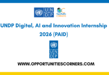 UNDP Digital, AI and Innovation Internship 2026