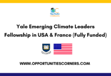 Yale Emerging Climate Leaders Fellowship 2027