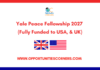 Yale Peace Fellowship 2027 (Fully Funded to USA, & UK) Yale Peace Fellowship 2027