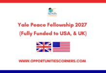 Yale Peace Fellowship 2027 (Fully Funded to USA, & UK) Yale Peace Fellowship 2027