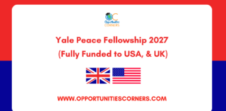 Yale Peace Fellowship 2027 (Fully Funded to USA, & UK) Yale Peace Fellowship 2027