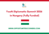 Youth Diplomatic Summit 2026 in Hungary